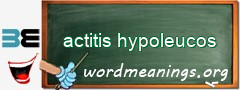 WordMeaning blackboard for actitis hypoleucos
